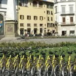 Fully equipped city bike to discover Florence - 1 day rental - The Routes and Hidden Gems
