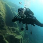 Fun Dive for Certified Divers in Tenerife - Diving into Tenerife’s Underwater World