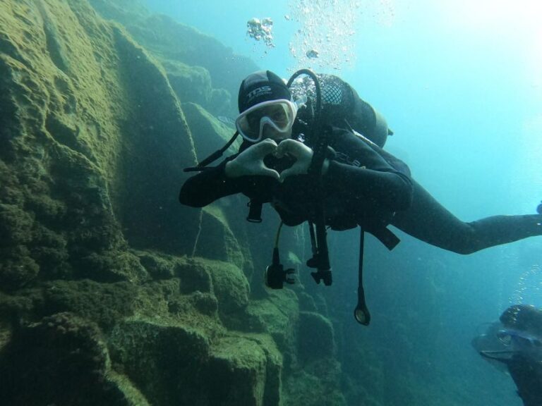 Fun Dive for Certified Divers in Tenerife - Diving into Tenerife’s Underwater World