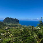 Funchal: 4x4 Jeep Trip to the East and Northeast of Madeira - A Closer Look at the Itinerary