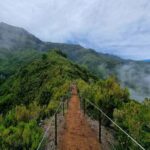 Funchal: Bica da Cana to Encumeada Guided Hike with Pickup - An Overview of the Experience