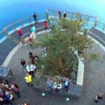 Funchal: Cabo Girão, Wines Tasting and Dolphins Watching - The Details That Matter