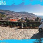 Funchal City Historical Tuk-Tuk Private Tour by MadTuk - Final Thoughts: Who Will Love This Tour?