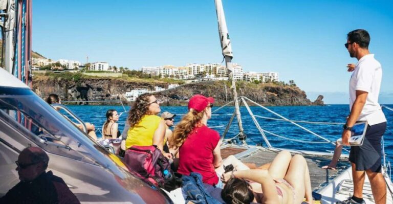 Funchal: Dolphin and Whale Watching by Luxury Catamaran - The Value of the Tour