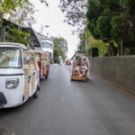 Funchal: Guided Tuk Tuk Tour to Toboggan Rides & Old Town - The Value of This Tour