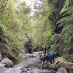 Funchal: Half-day Beginners Canyoning - What Makes This Tour Stand Out?
