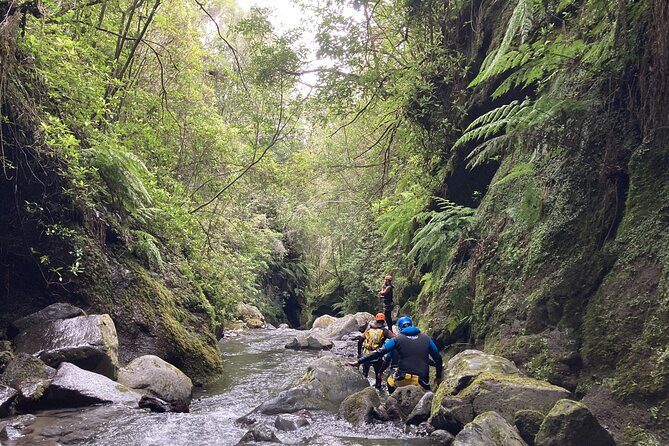 Funchal: Half-day Beginners Canyoning - What Makes This Tour Stand Out?