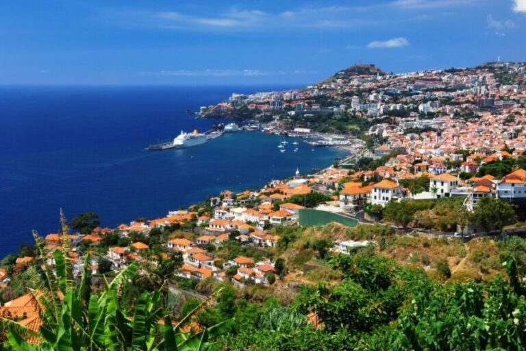 Funchal: Hop-On Hop-Off Bus Tour - Who Should Consider This Tour?
