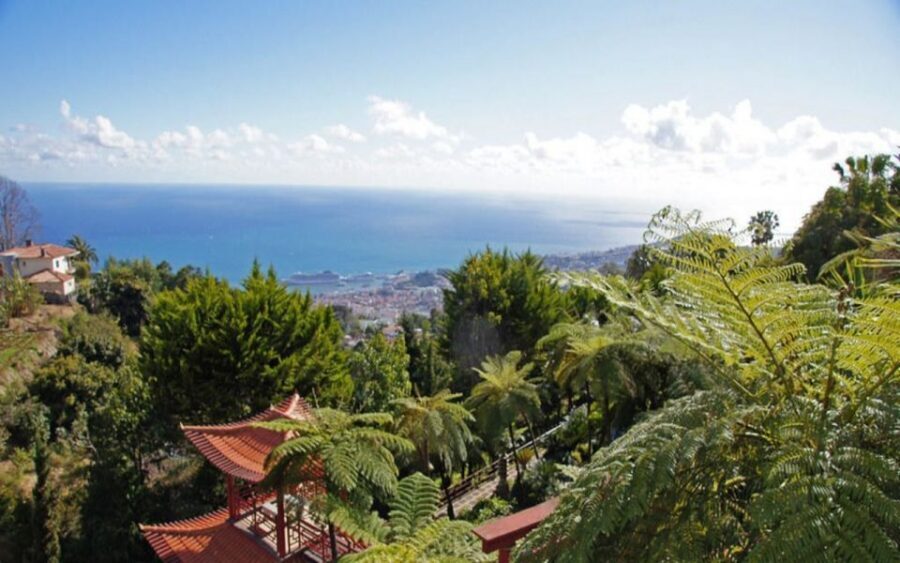 Funchal: Monte Palace Tropical Gardens Tuk Tuk Tour - Authentic, Balanced Experience Reflection