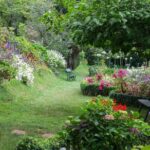 Funchal Old Town & Palheiro Gardens Private Tuk Tuk Tour - Who Should Consider This Tour?