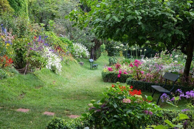 Funchal Old Town & Palheiro Gardens Private Tuk Tuk Tour - Who Should Consider This Tour?