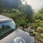 Funchal: Pico do Arieiro to Santana and Ponta de Sao Lorenco - Why This Tour Works Well