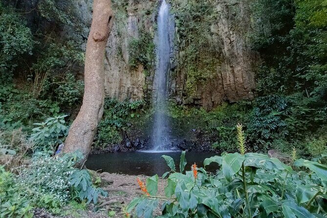 Funchal: Pico do Arieiro to Santana and Ponta de Sao Lorenco - Practical Details and What to Expect
