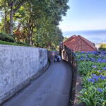 Funchal: Private Cable Car, Toboggan, and Skywalk Tour - The Details That Matter
