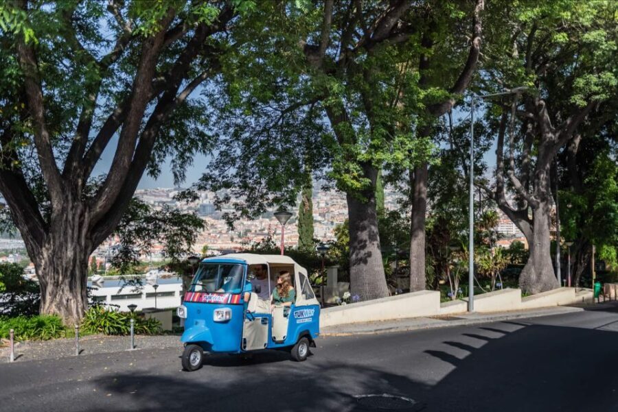 Funchal: Private Customizable Guided Tour by Tuk-Tuk - What to Expect During Your Tour