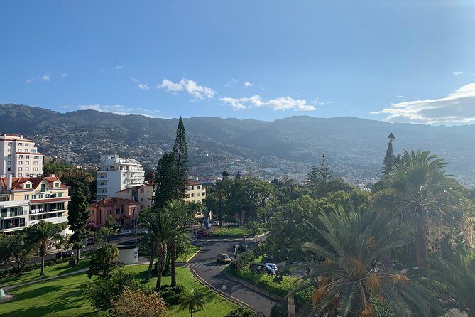 Funchal Private Transfers Service to Madeira Airport - Authentic Experiences from Past Travelers