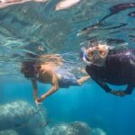 Funchal: Snorkeling Adventure in Eco-Park / Shore or by Boat - The Two Options: Shore Snorkeling vs. Boat Trip
