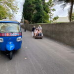 Funchal: Toboggan and Old Town Experience with Tukway - Key Points