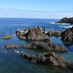 Funchal: Waterfalls, Volcanic Pools, and Fanal Forest Tour - Why This Tour Offers Great Value