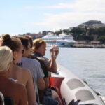 Funchal: Whale Watching and Swimming with Dolphins Cruise - The Practicalities: Price, Duration, and Value