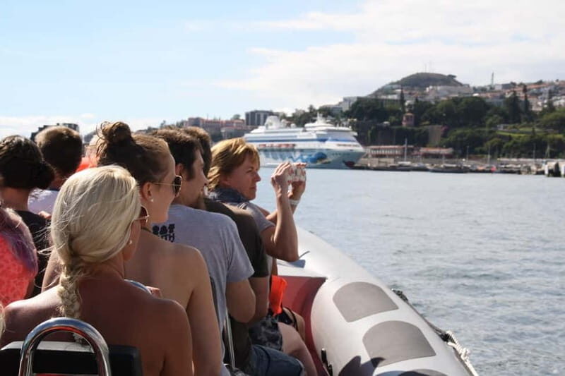 Funchal: Whale Watching and Swimming with Dolphins Cruise - The Practicalities: Price, Duration, and Value