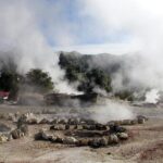 Furnas Full Day Tour | Full Day Furnas Tour (Min. 2 Persons) - What Makes This Tour Stand Out?
