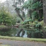 Furnas Lake Hotsprings and Gardens Van Tour - Final Thoughts