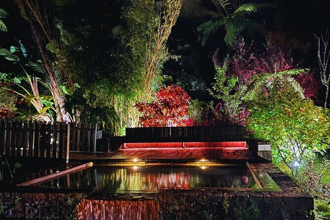 Furnas: Mystic Tour (w/Dinner & Thermal Springs) - What Makes This Tour Stand Out?