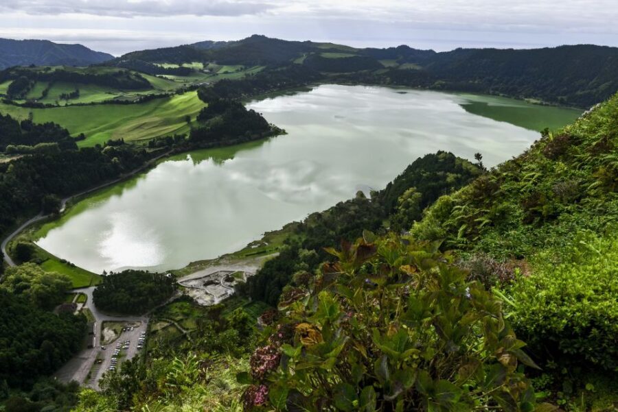 Furnas: Tea Plantations, Lake and Volcano Guided Tour - A Deep Dive into the São Miguel Experience