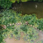 Furnas & Terra Nostra Botanic Park Tour w/Lunch + Hotsprings Bath - A Deep Dive into the Itinerary