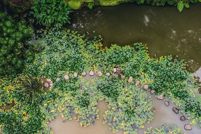 Furnas & Terra Nostra Botanic Park Tour w/Lunch + Hotsprings Bath - A Deep Dive into the Itinerary