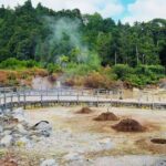 Furnas Volcano Experience  Nature, Hot Springs & Scenic Views - Why This Tour Offers Great Value