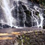 Furnas Volcano Wonders, Tea Plantation & Waterfall Tour - Who Should Book This Tour?