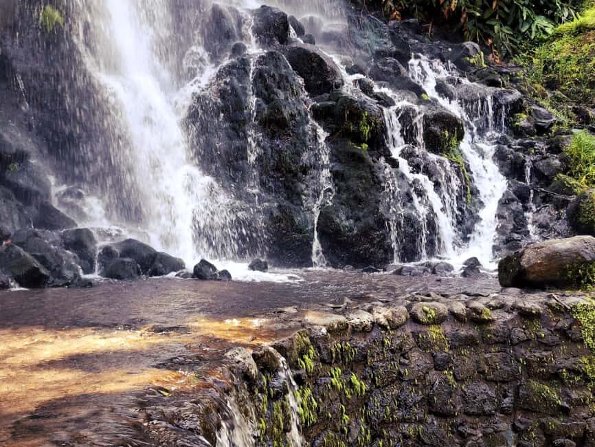 Furnas Volcano Wonders, Tea Plantation & Waterfall Tour - Who Should Book This Tour?