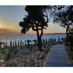 Gallipoli Full Day Private Tour: Coast, Beaches and Wineries - Why This Tour Offers Great Value