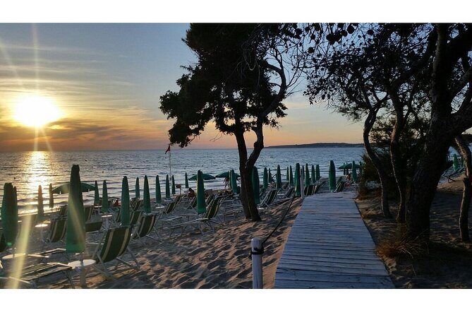 Gallipoli Full Day Private Tour: Coast, Beaches and Wineries - Why This Tour Offers Great Value