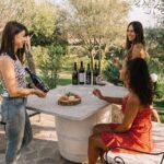 Gallura Winery with Wine Tasting in Olbia - Why This Tour Offers Real Value