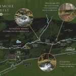 Game of Thrones - Tollymore Forest Trek - Exploring Tollymore Forest in Game of Thrones Style