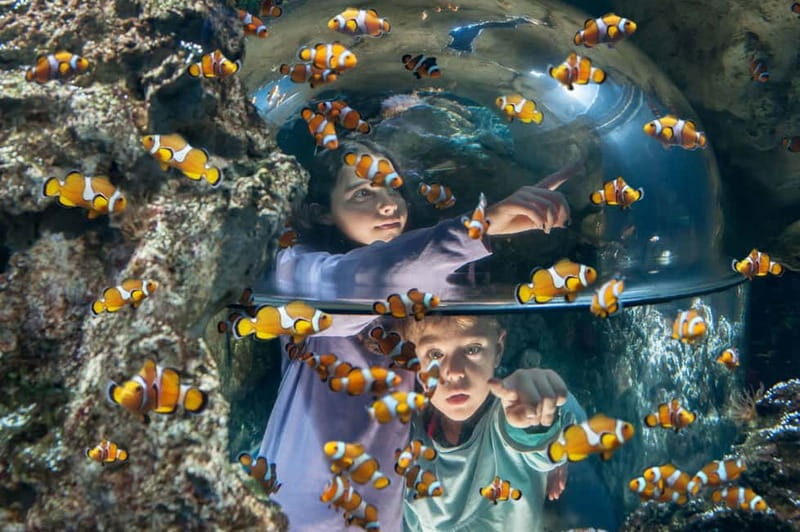 Gardaland SEA LIFE Aquarium: Open Date Entry Ticket - Pricing and Value