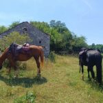 Gargano National Park: horseback riding - Price and Value Analysis