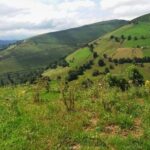 Gastronomy tour with tastings - small groups - What Makes This Tour Stand Out