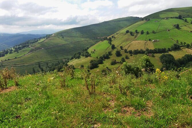 Gastronomy tour with tastings - small groups - What Makes This Tour Stand Out