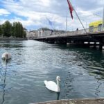 Geneva Complete Tour. Hotel PICK-UP, UN area & the Old City - Who Should Consider This Tour?