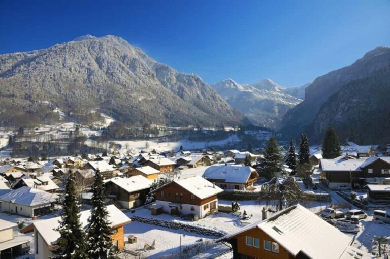 Geneva: Private Day Tour to Interlaken - Who Is This Tour Best For?