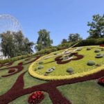 Geneva: Watch Tour in TukTuk - Final Thoughts: The Real Value of This Experience