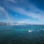 Geneva: Whispers of the Old Town Walking Tour with Apéritif - The Value of This Tour