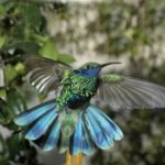 Genoa: Biosfera Entrance Ticket - Who Will Love This Experience?