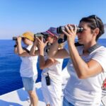 Genoa: Cetacean Watching Cruise with Marine Biologist Guide - Why This Tour Stands Out
