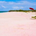 Georgioupolis Area: Full-Day Bus Trip to Elafonisi Island - Detailed Breakdown of the Itinerary