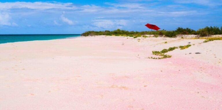 Georgioupolis Area: Full-Day Bus Trip to Elafonisi Island - Detailed Breakdown of the Itinerary